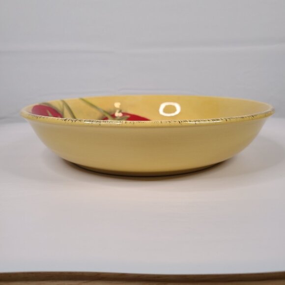 Certified International Stef Ania Ferri Roma 9" Pasta Bowl with Large Tomatoes - Picture 3 of 5